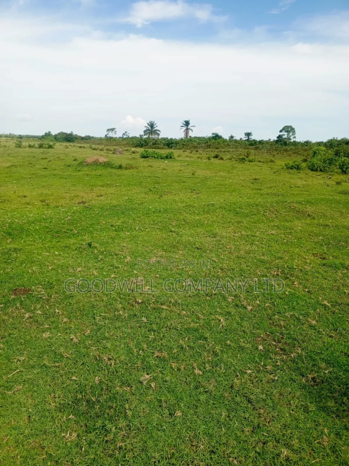 80 Acres of Land in Masaka on Bukakata Road Freehold Title