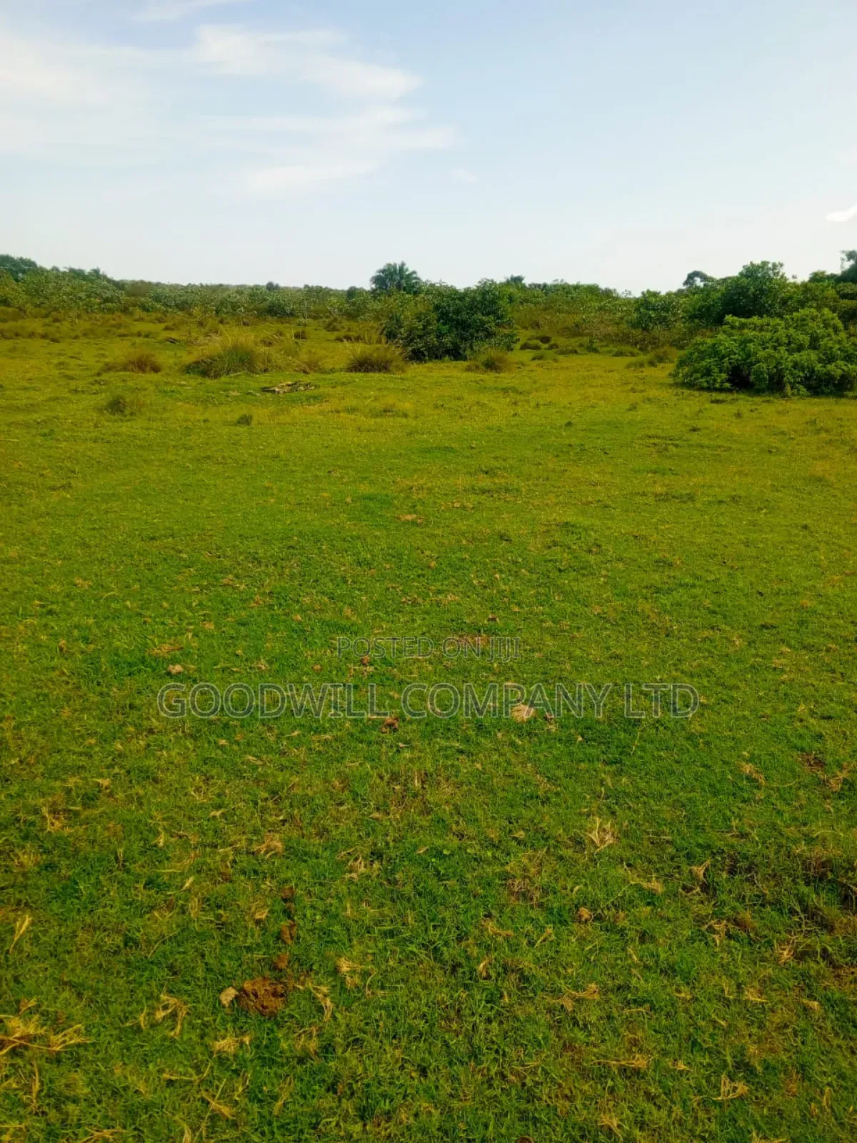 80 Acres of Land in Masaka on Bukakata Road Freehold Title