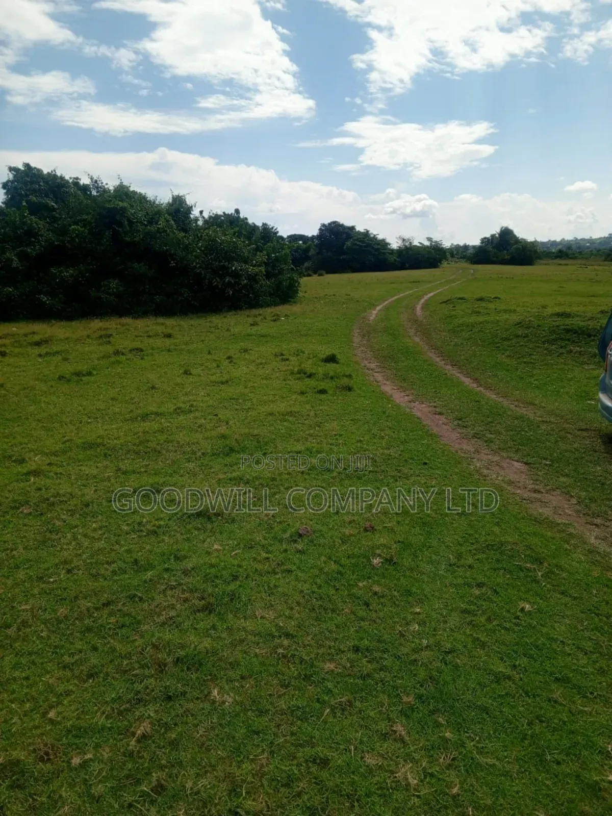 80 Acres of Land in Masaka on Bukakata Road Freehold Title