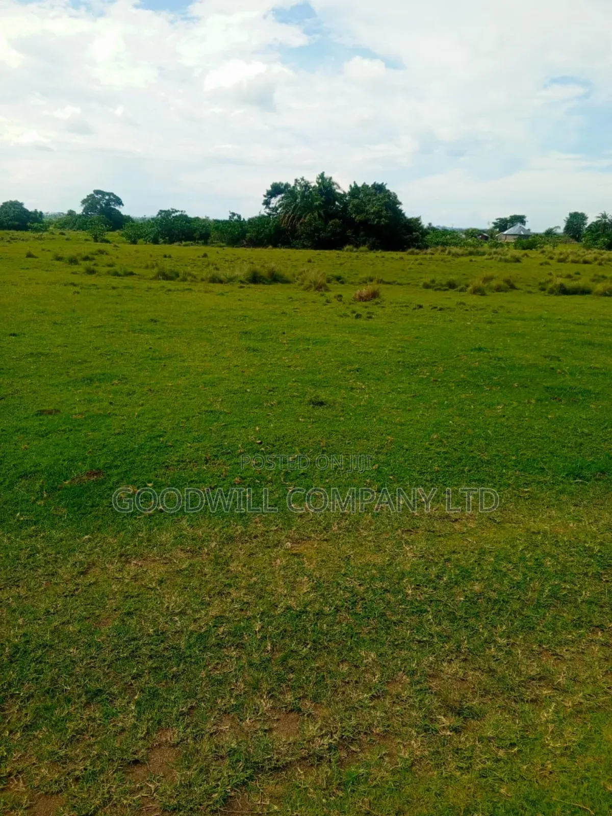 80 Acres of Land in Masaka on Bukakata Road Freehold Title