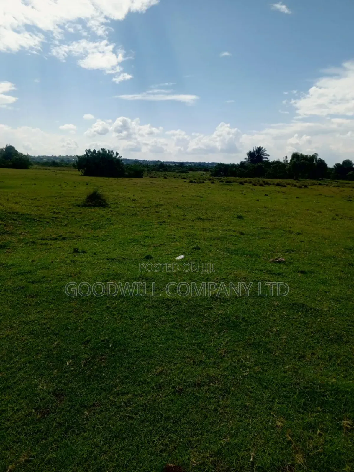 80 Acres of Land in Masaka on Bukakata Road Freehold Title