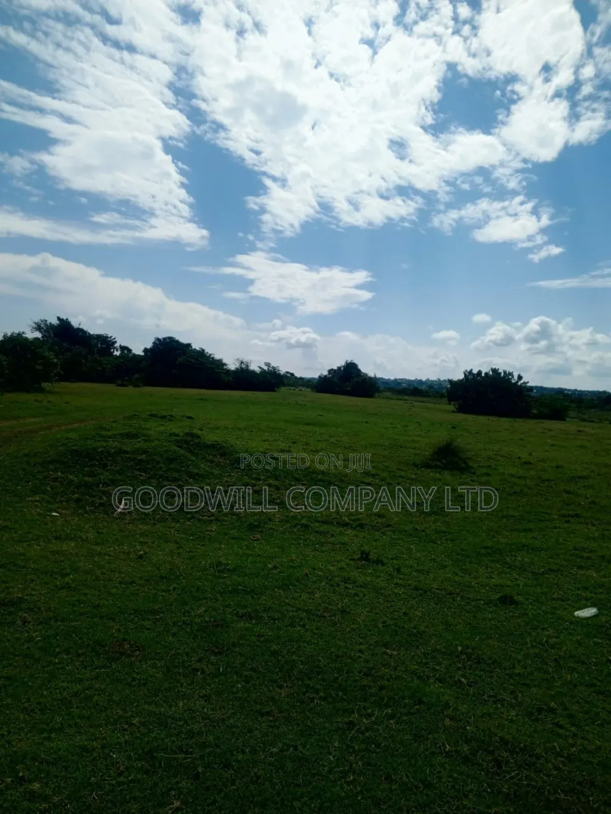 80 Acres of Land in Masaka on Bukakata Road Freehold Title