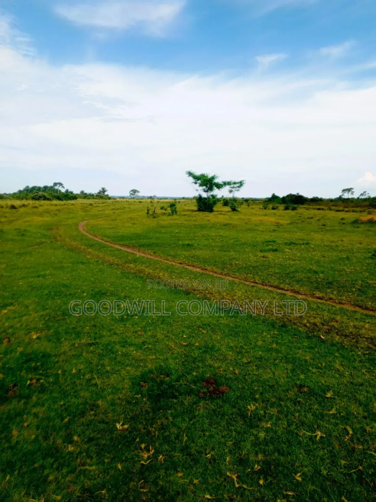 80 Acres of Land in Masaka on Bukakata Road Freehold Title