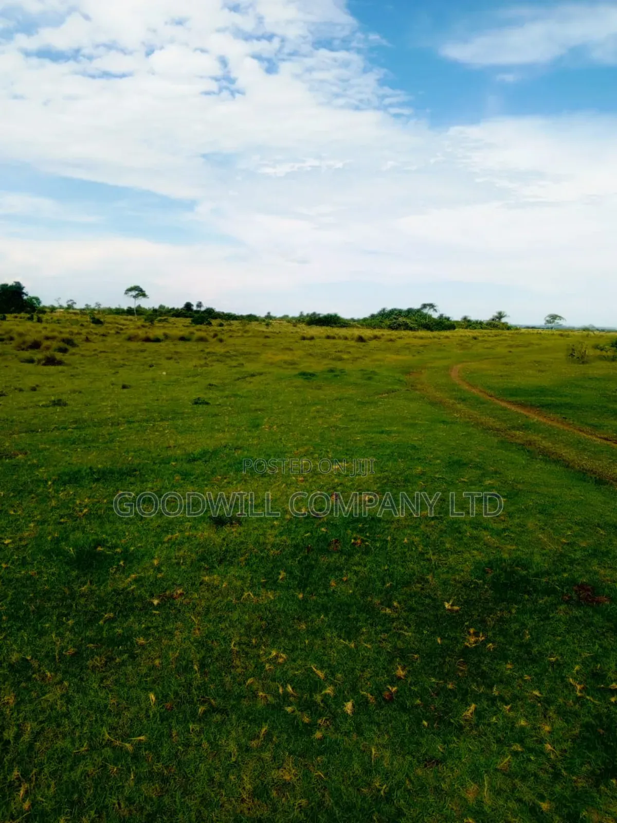 80 Acres of Land in Masaka on Bukakata Road Freehold Title
