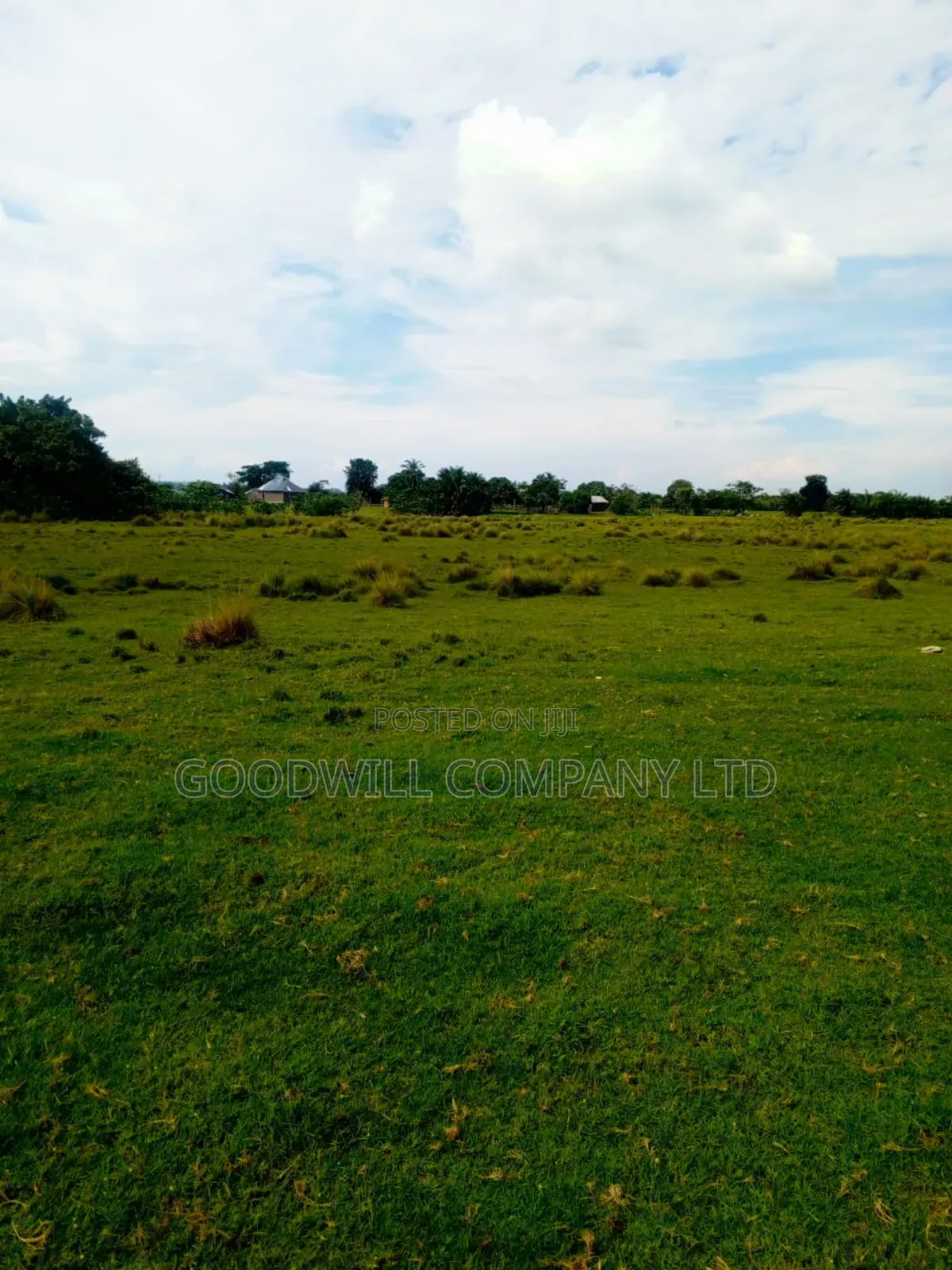 80 Acres of Land in Masaka on Bukakata Road Freehold Title