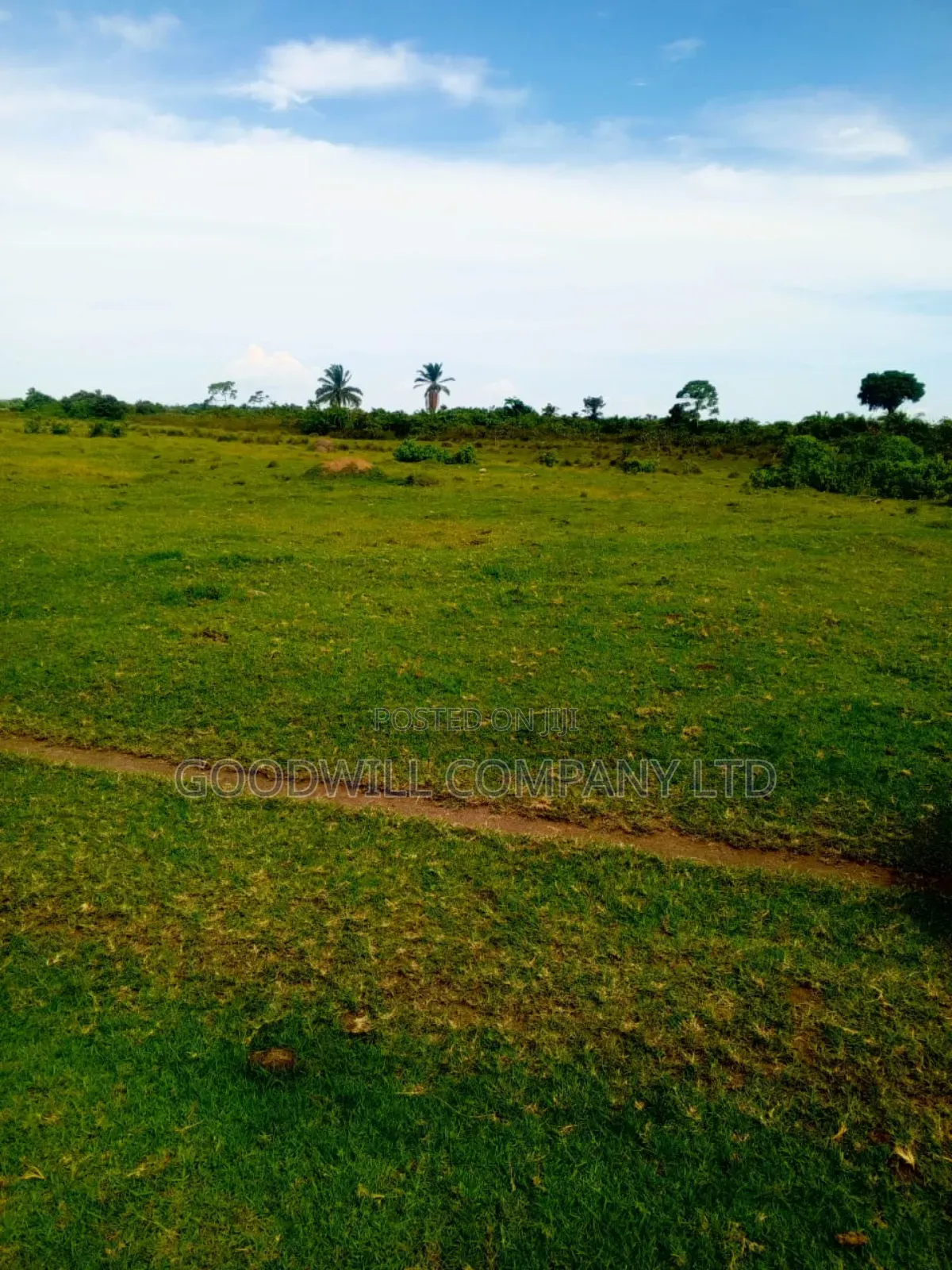 80 Acres of Land in Masaka on Bukakata Road Freehold Title