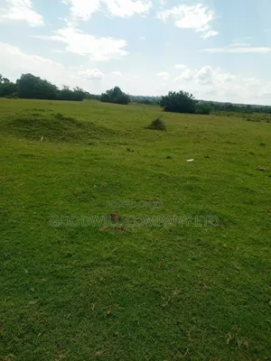 100ares of Land in Nsasi Mpiji Masaka Road