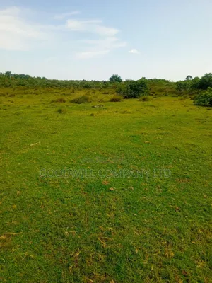 100ares of Land in Nsasi Mpiji Masaka Road