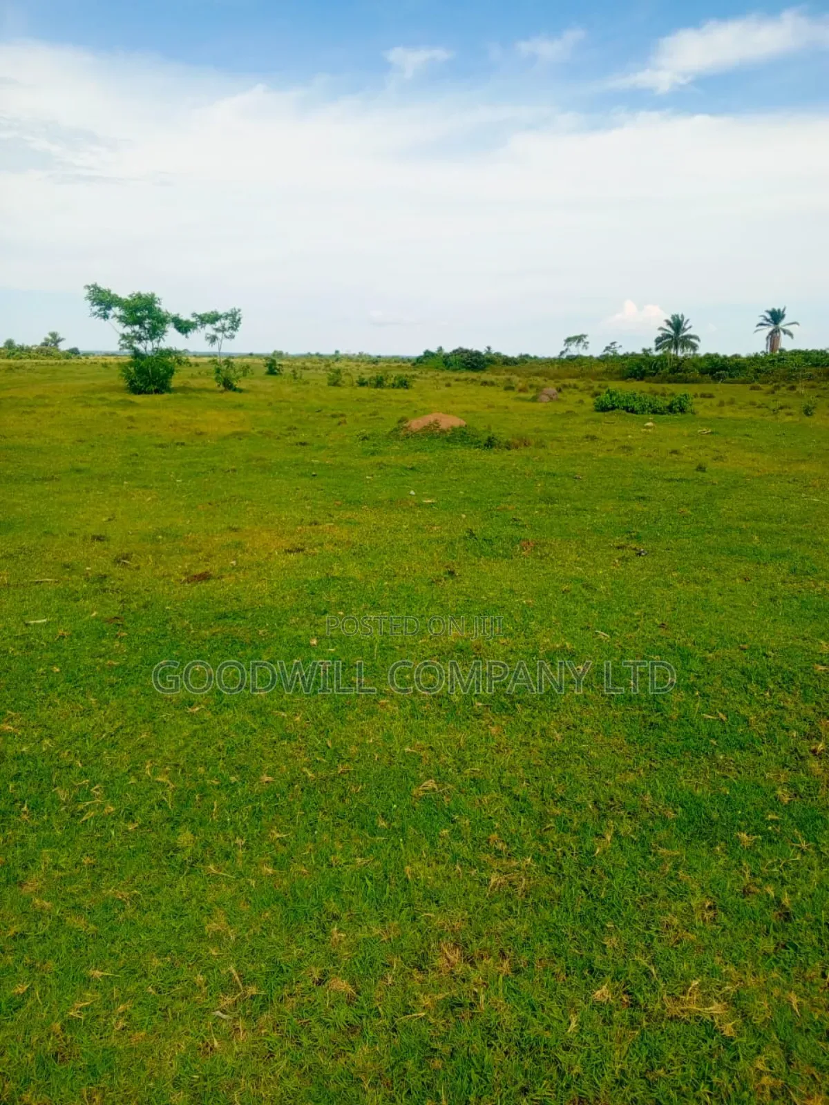 100ares of Land in Nsasi Mpiji Masaka Road