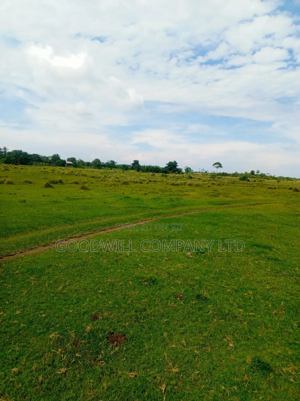 100ares of Land in Nsasi Mpiji Masaka Road