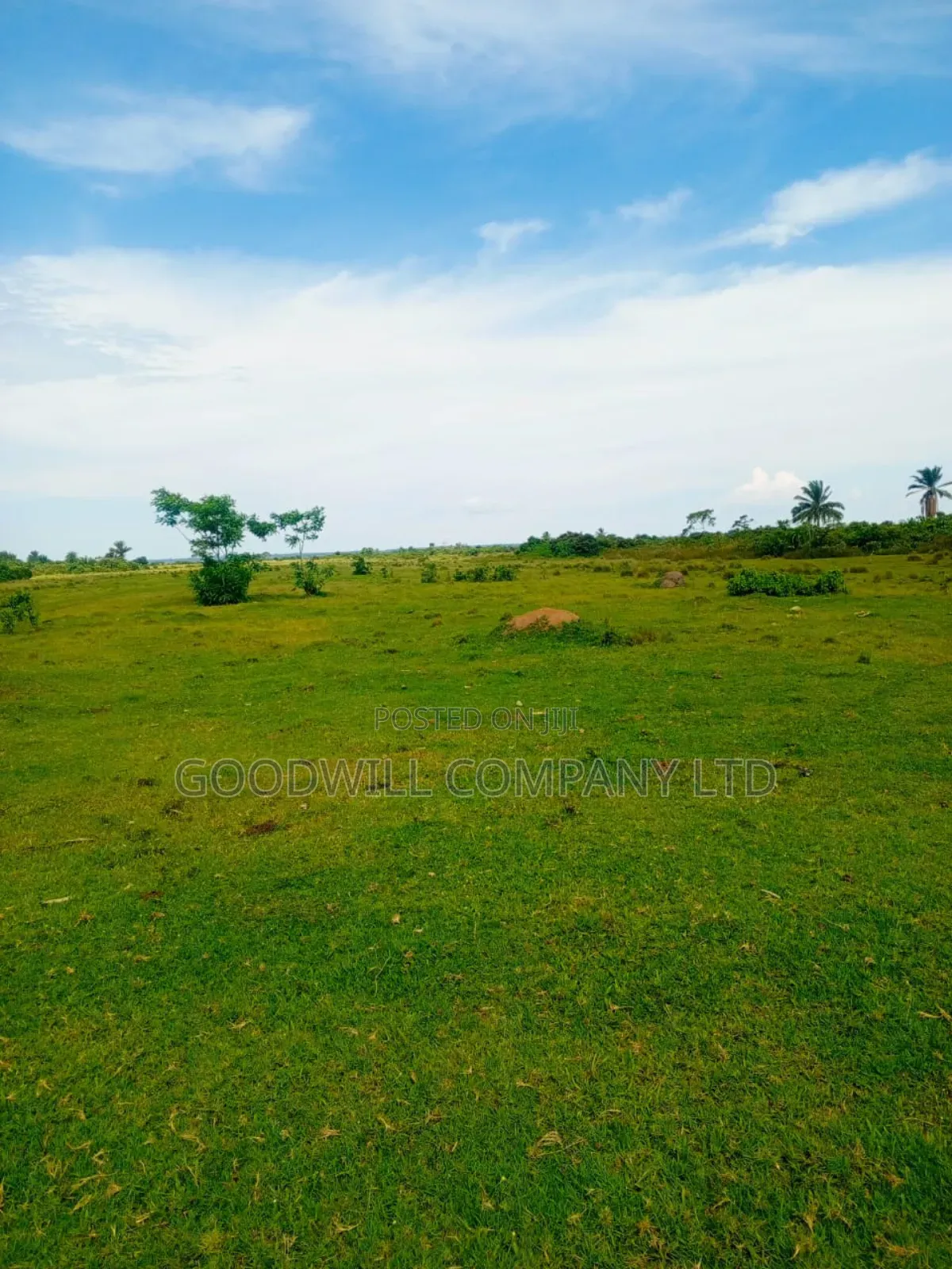 100ares of Land in Nsasi Mpiji Masaka Road