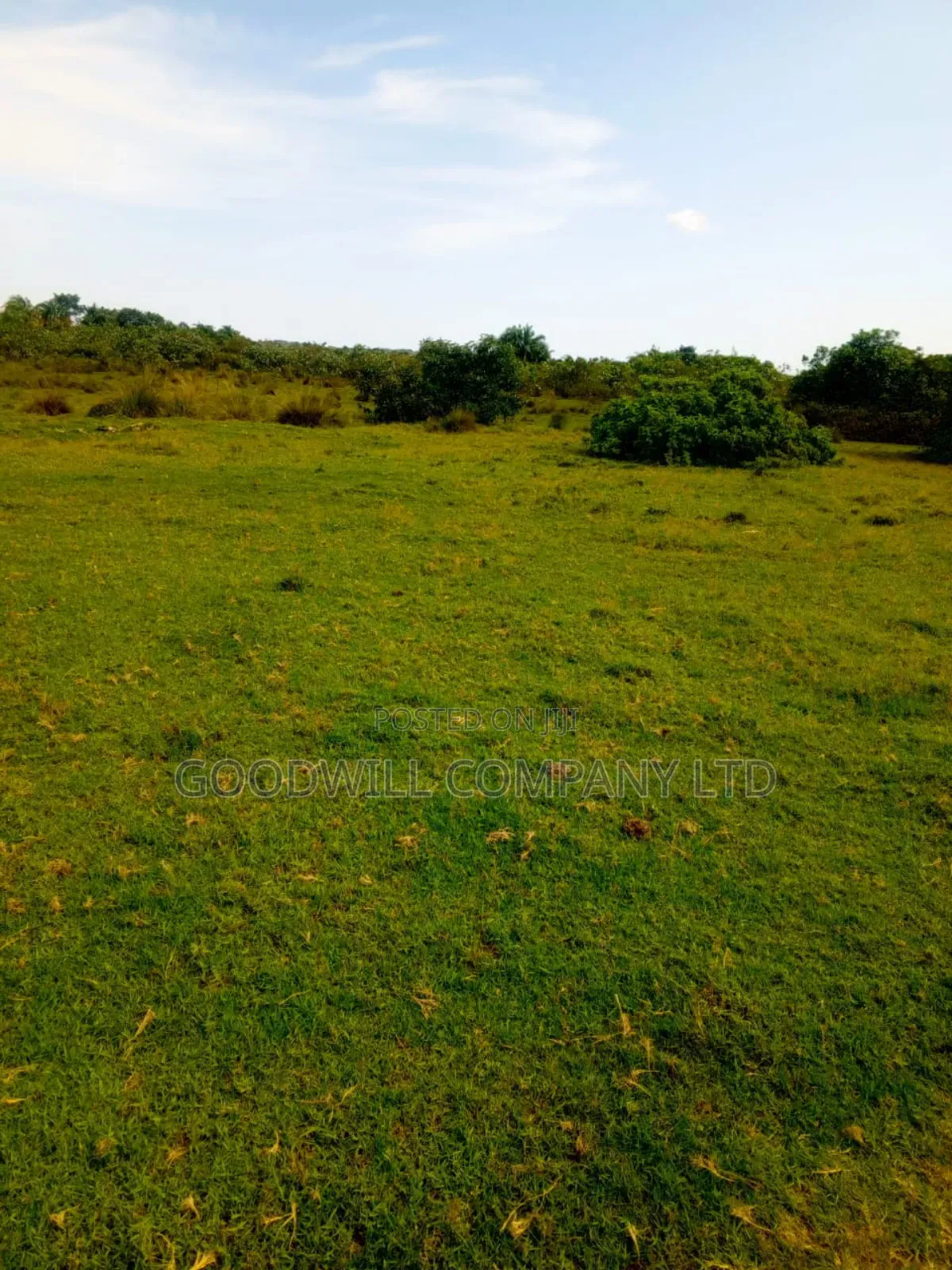 100ares of Land in Nsasi Mpiji Masaka Road