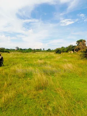 100 Acres of Land in Masaka on Bukakata Mukono Road