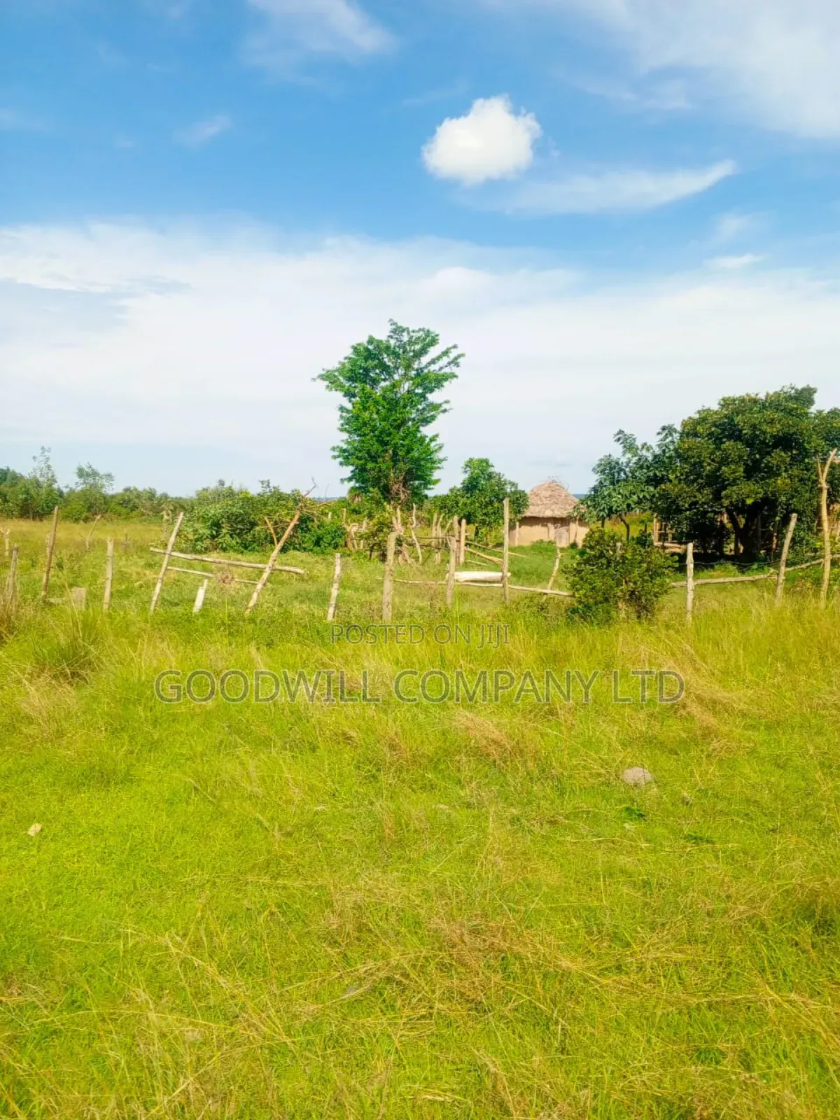 100 Acres of Land in Masaka on Bukakata Mukono Road