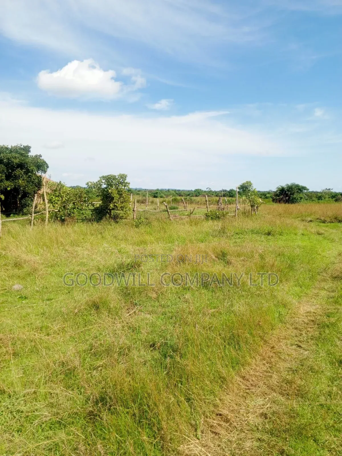 100 Acres of Land in Masaka on Bukakata Mukono Road