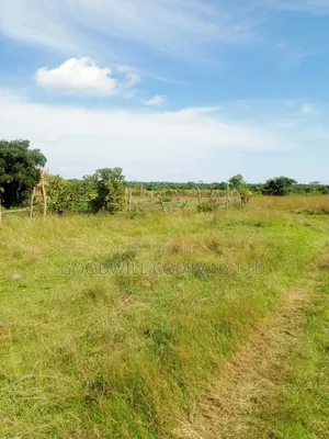 100 Acres of Land in Masaka on Bukakata Mukono Road