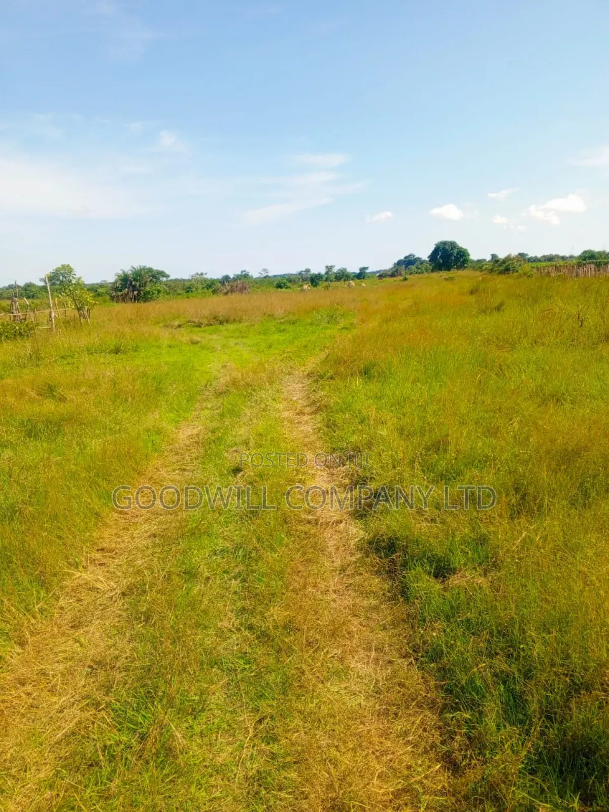 100 Acres of Land in Masaka on Bukakata Mukono Road
