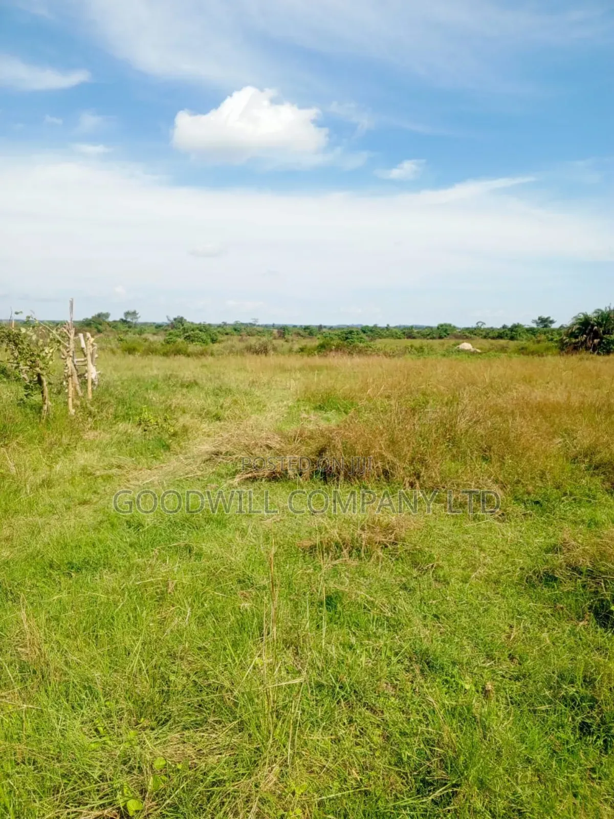 100 Acres of Land in Masaka on Bukakata Mukono Road