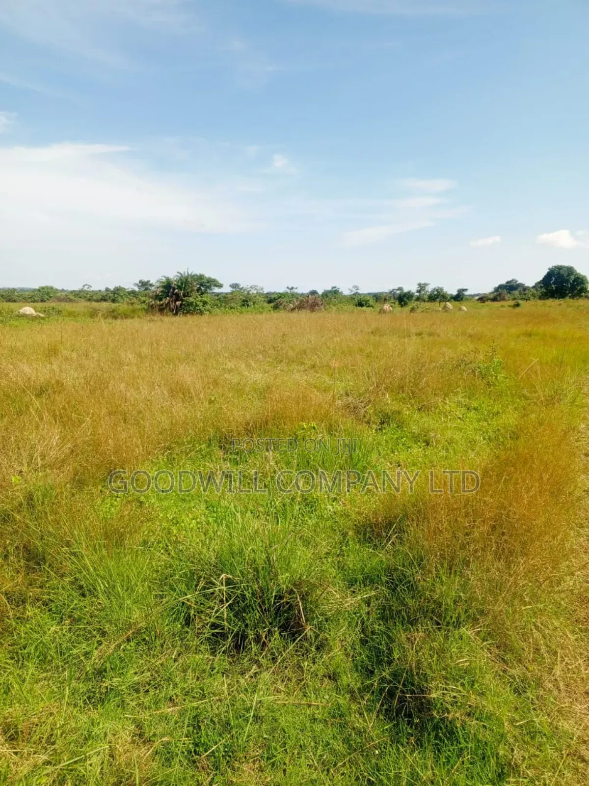 100 Acres of Land in Masaka on Bukakata Mukono Road