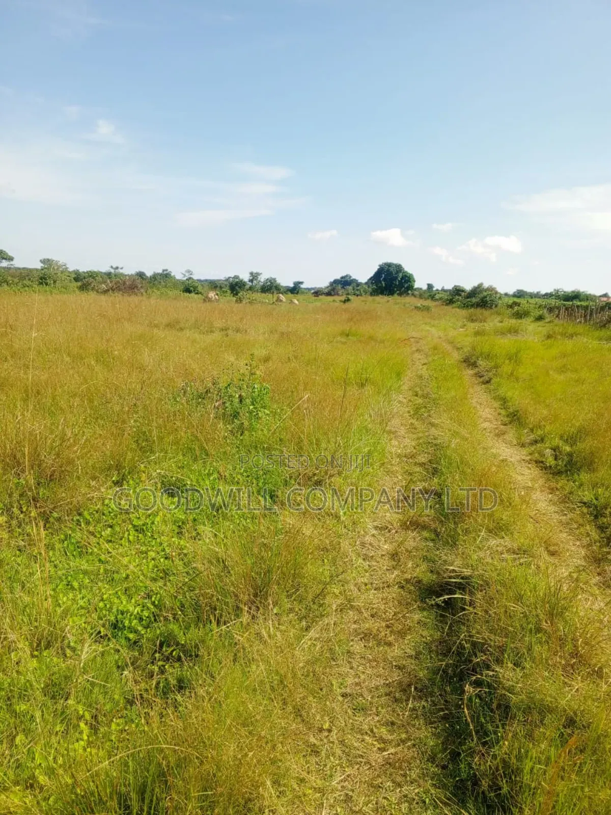 100 Acres of Land in Masaka on Bukakata Mukono Road