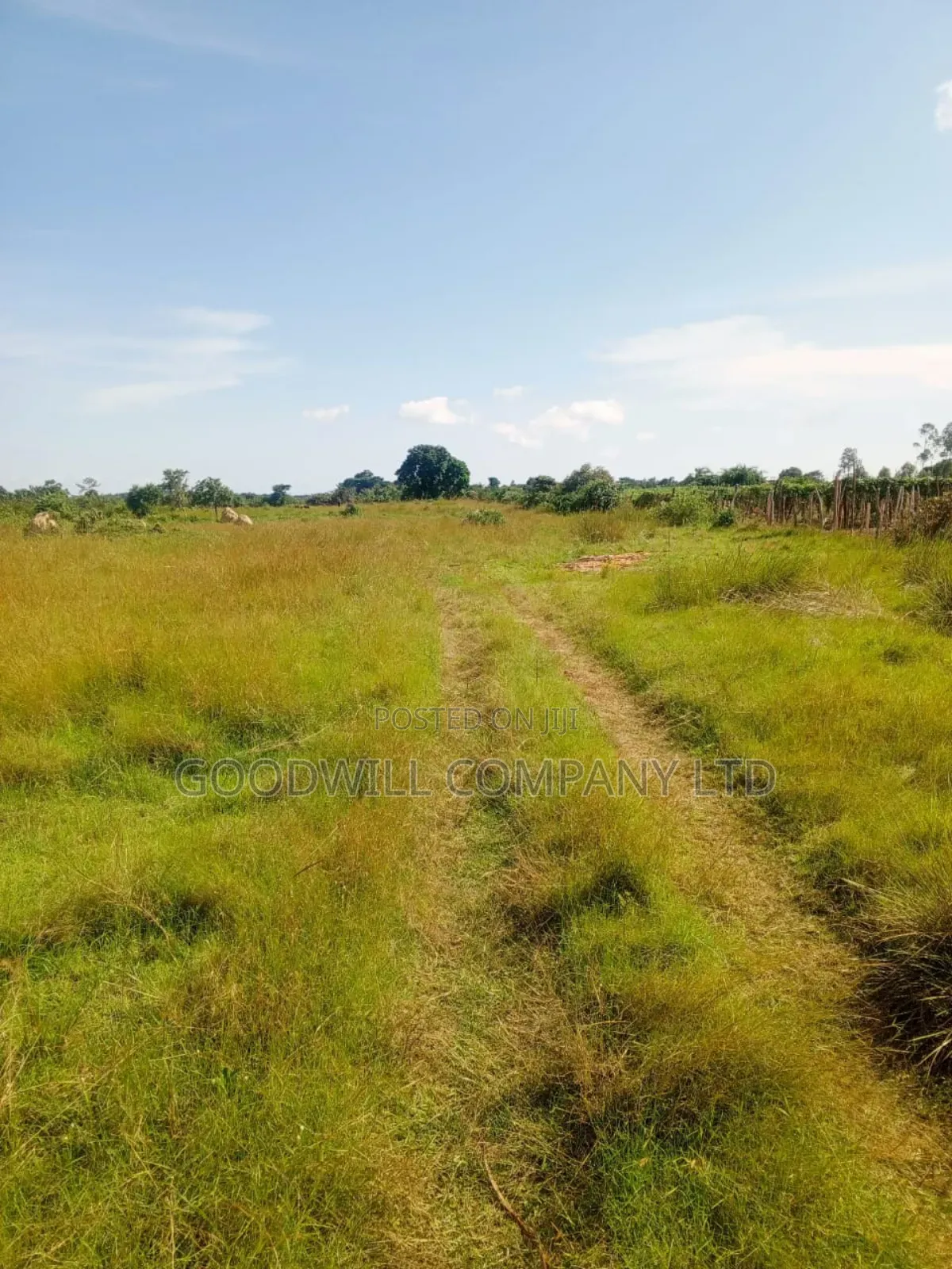 100 Acres of Land in Masaka on Bukakata Mukono Road