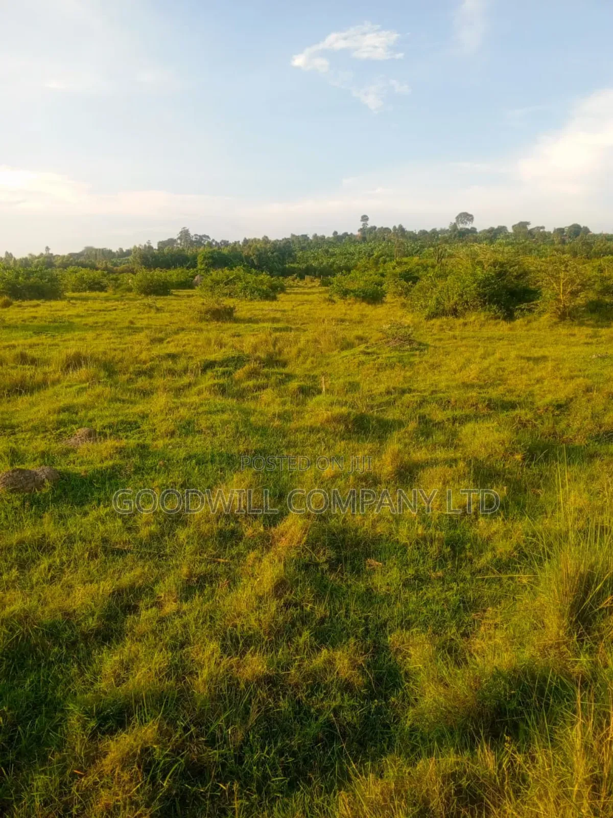 90 Acres of Land Luwunga Lusagazi Mawokota Masaka Road