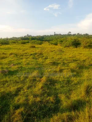 90 Acres of Land Luwunga Lusagazi Mawokota Masaka Road