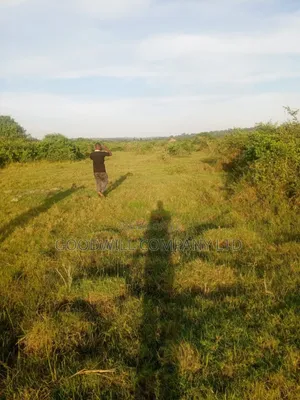 90 Acres of Land Luwunga Lusagazi Mawokota Masaka Road