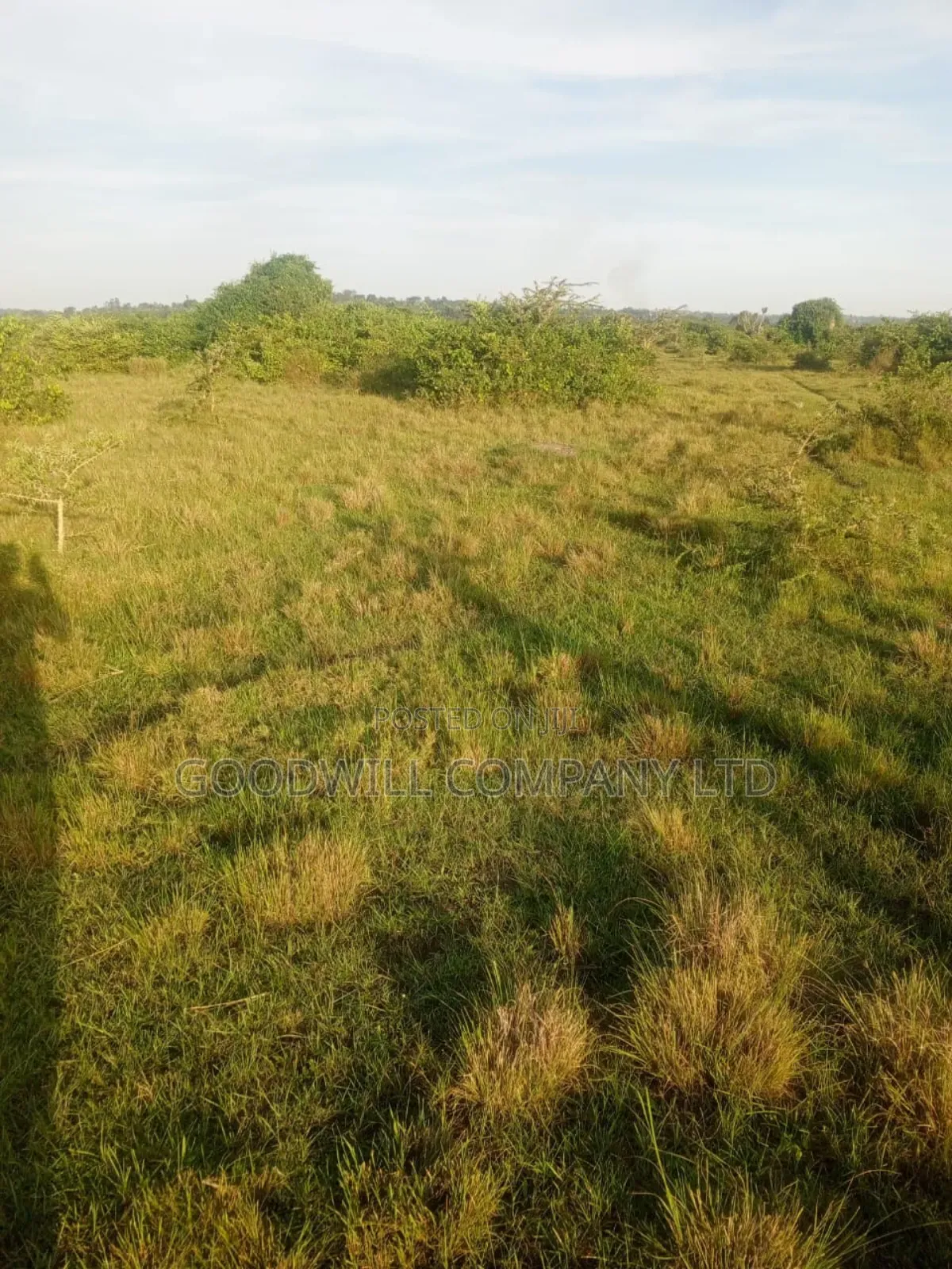 90 Acres of Land Luwunga Lusagazi Mawokota Masaka Road