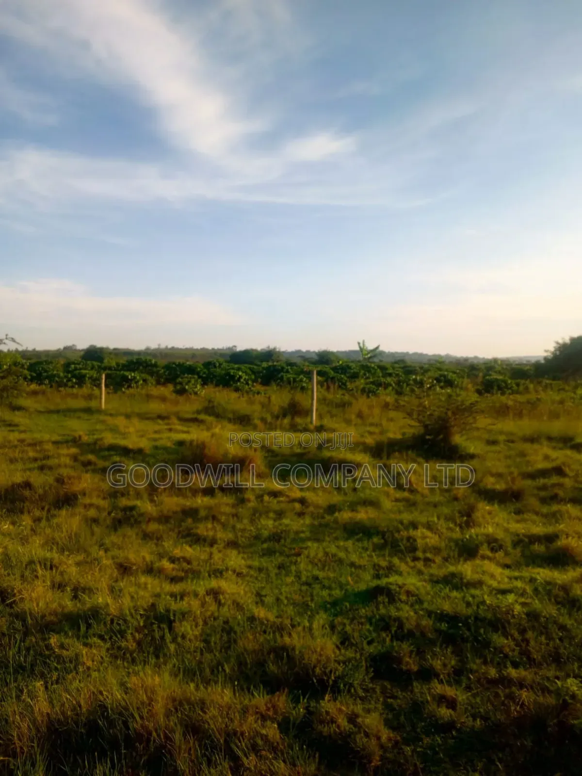 90 Acres of Land Luwunga Lusagazi Mawokota Masaka Road
