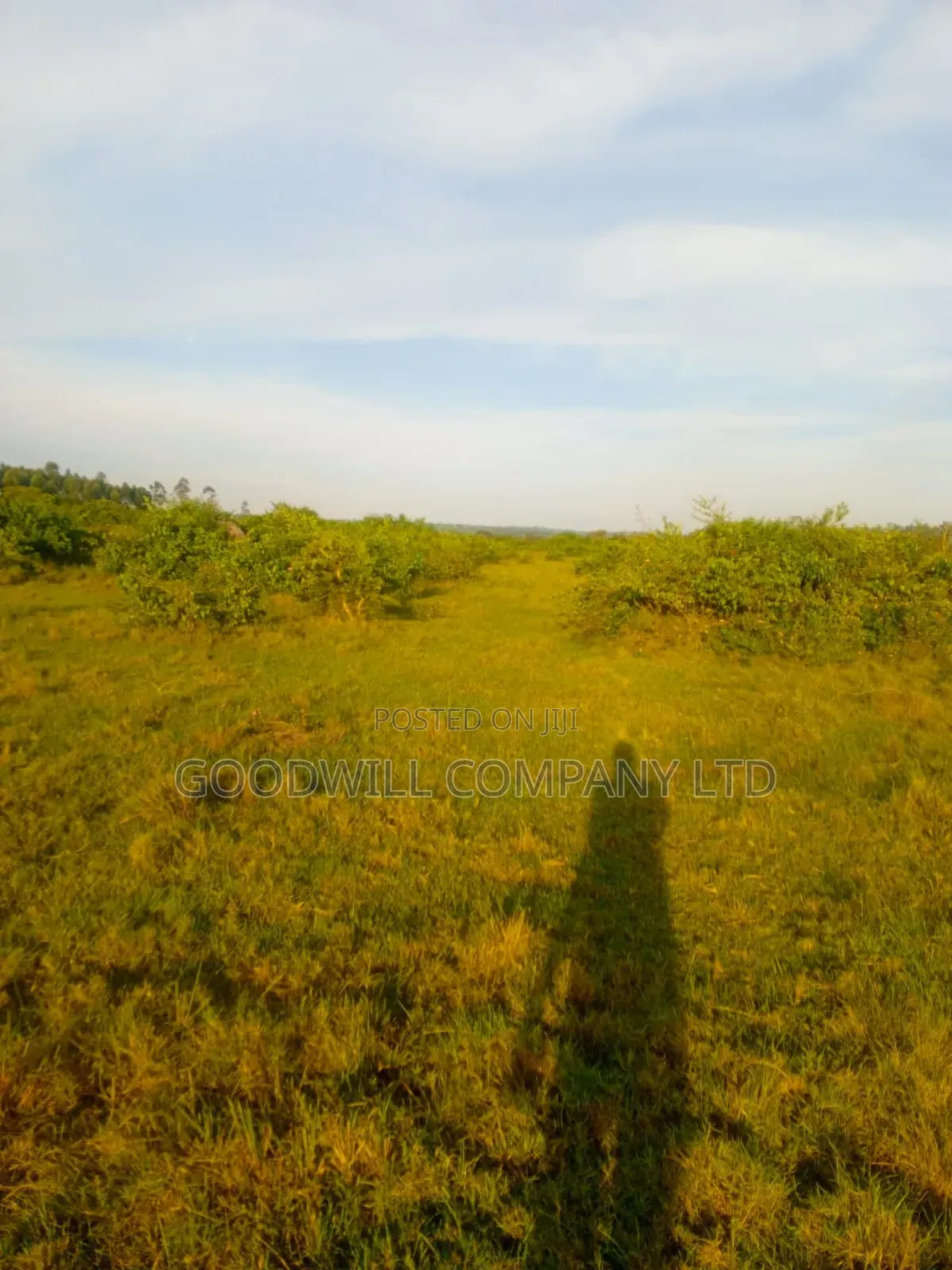 90 Acres of Land Luwunga Lusagazi Mawokota Masaka Road