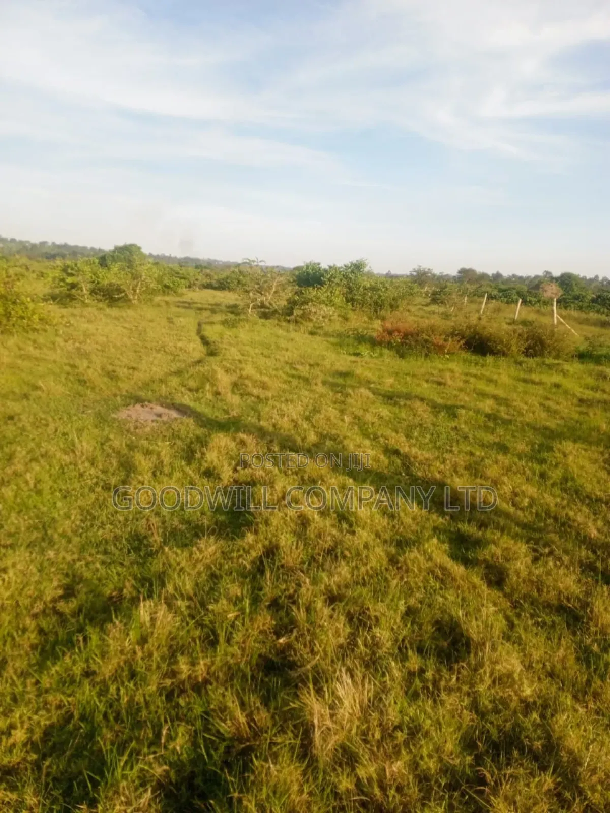 90 Acres of Land Luwunga Lusagazi Mawokota Masaka Road