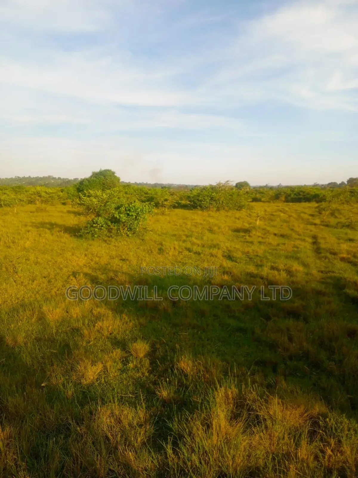 90 Acres of Land Luwunga Lusagazi Mawokota Masaka Road