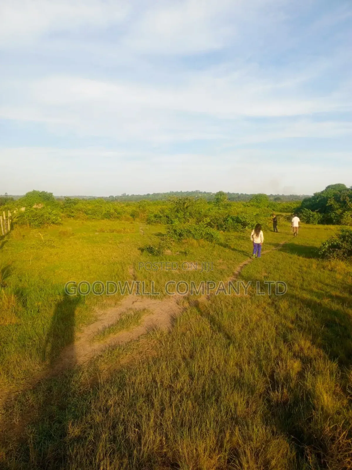 90 Acres of Land Luwunga Lusagazi Mawokota Masaka Road