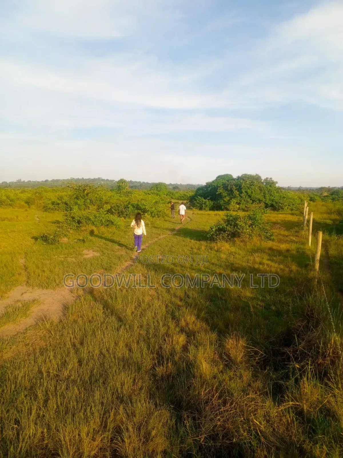 90 Acres of Land Luwunga Lusagazi Mawokota Masaka Road