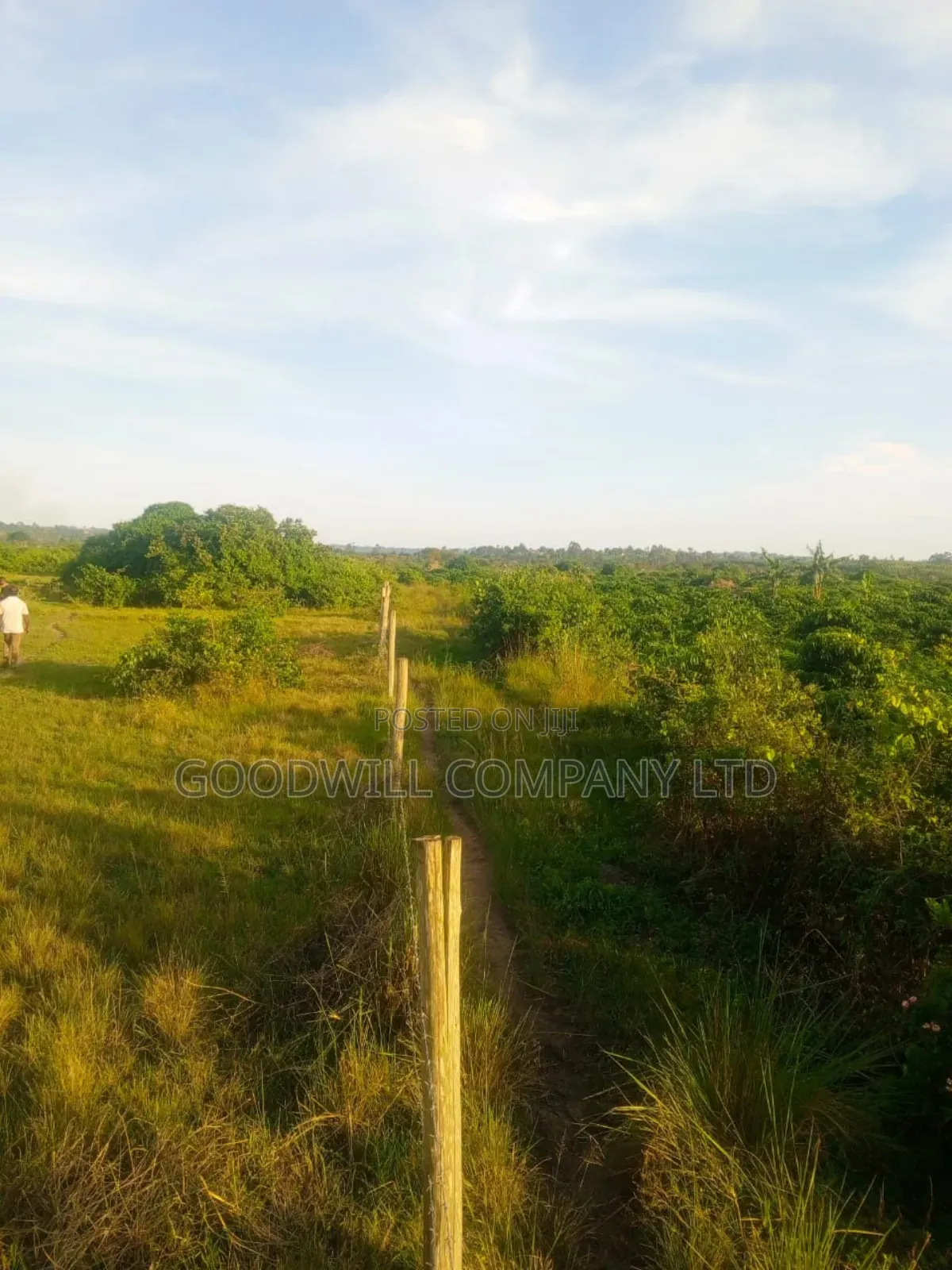 90 Acres of Land Luwunga Lusagazi Mawokota Masaka Road