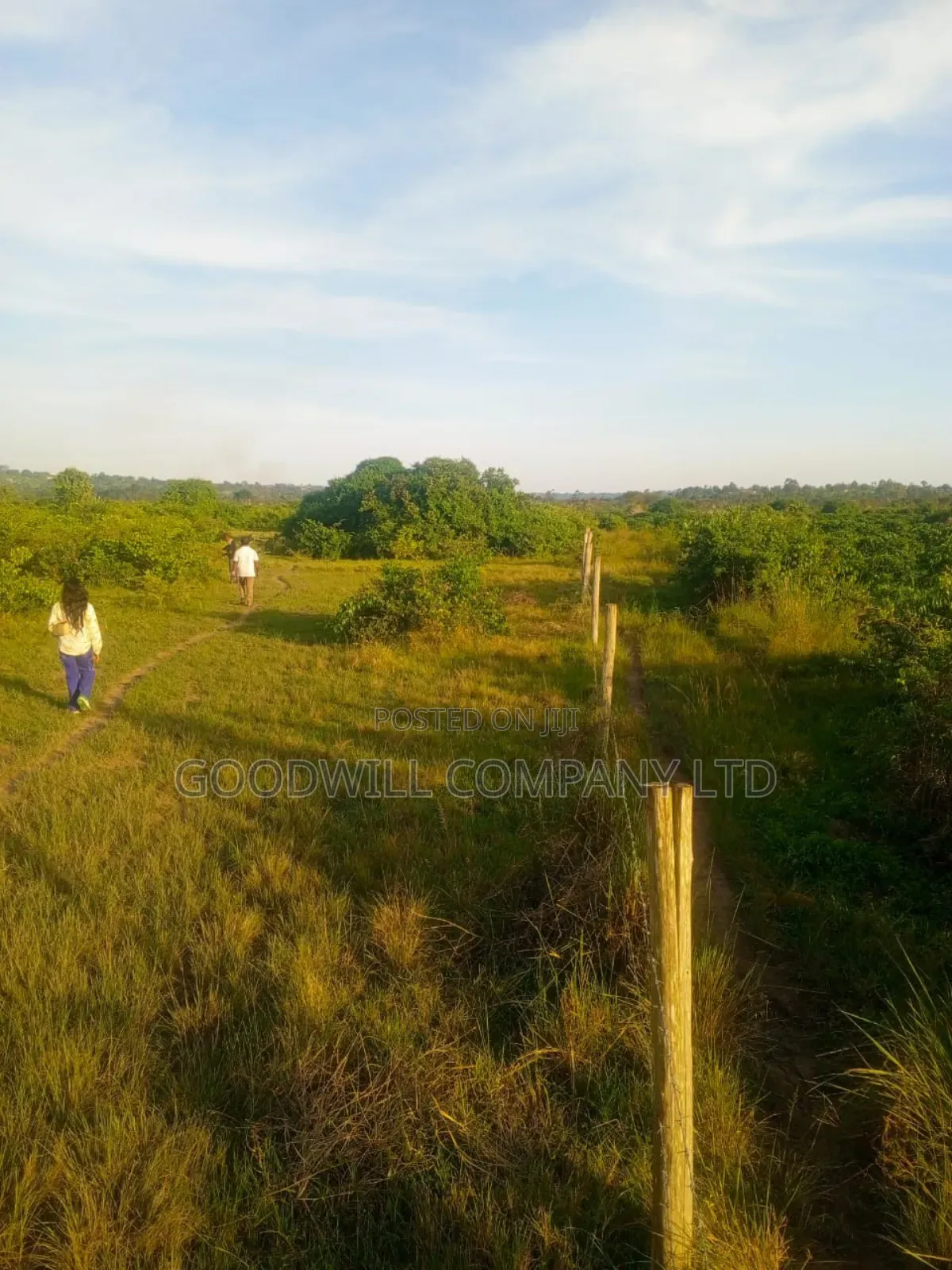 90 Acres of Land Luwunga Lusagazi Mawokota Masaka Road