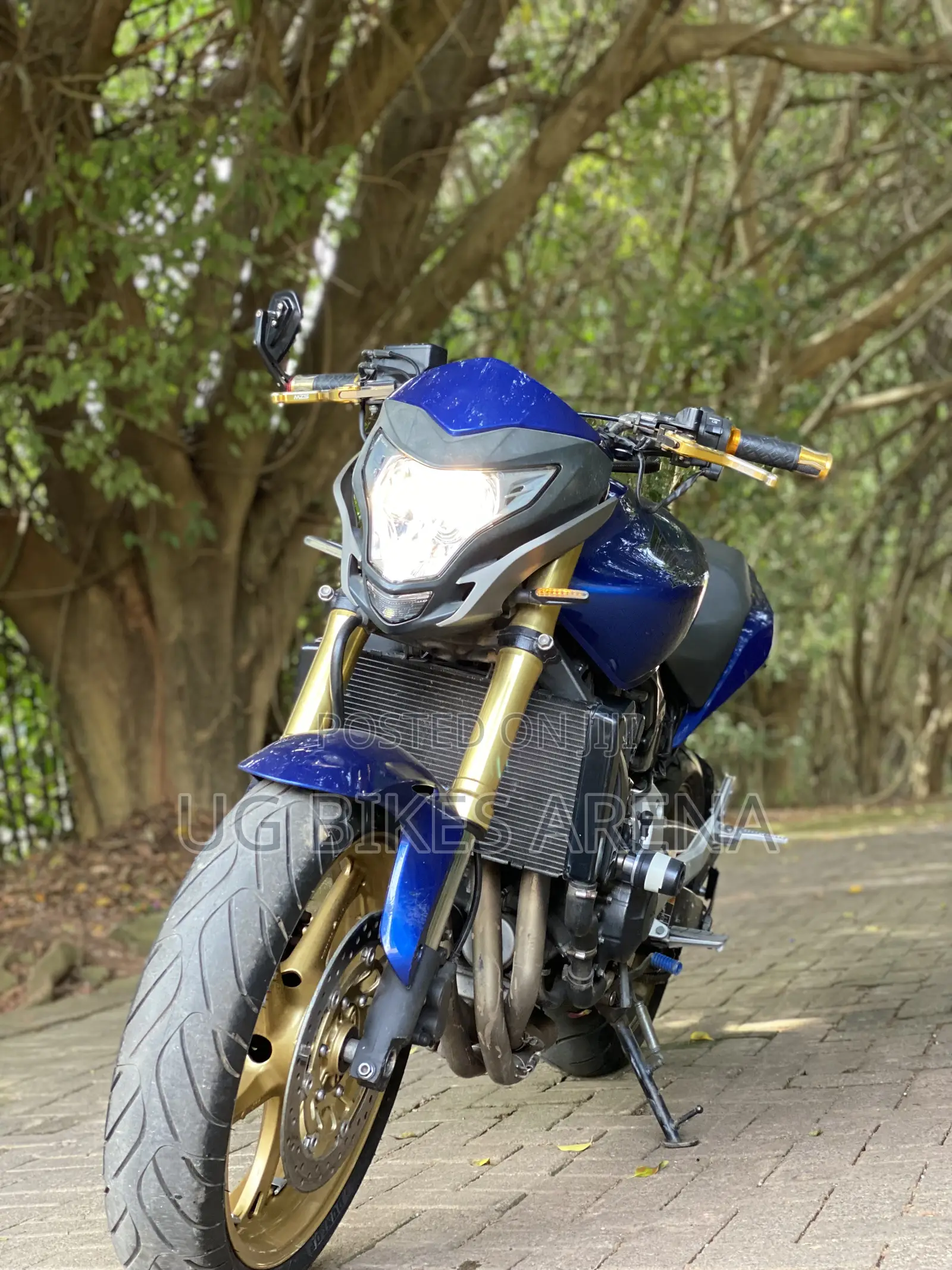 Honda Hornet 2016 Blue