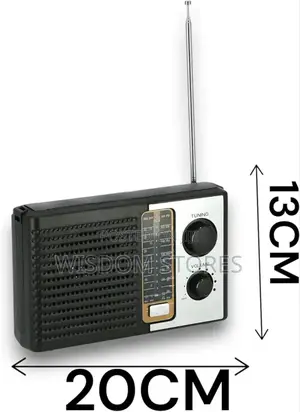 Icf-F10 Radio Multi-Band