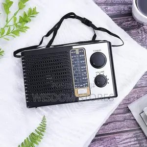 Icf-F10 Radio Multi-Band