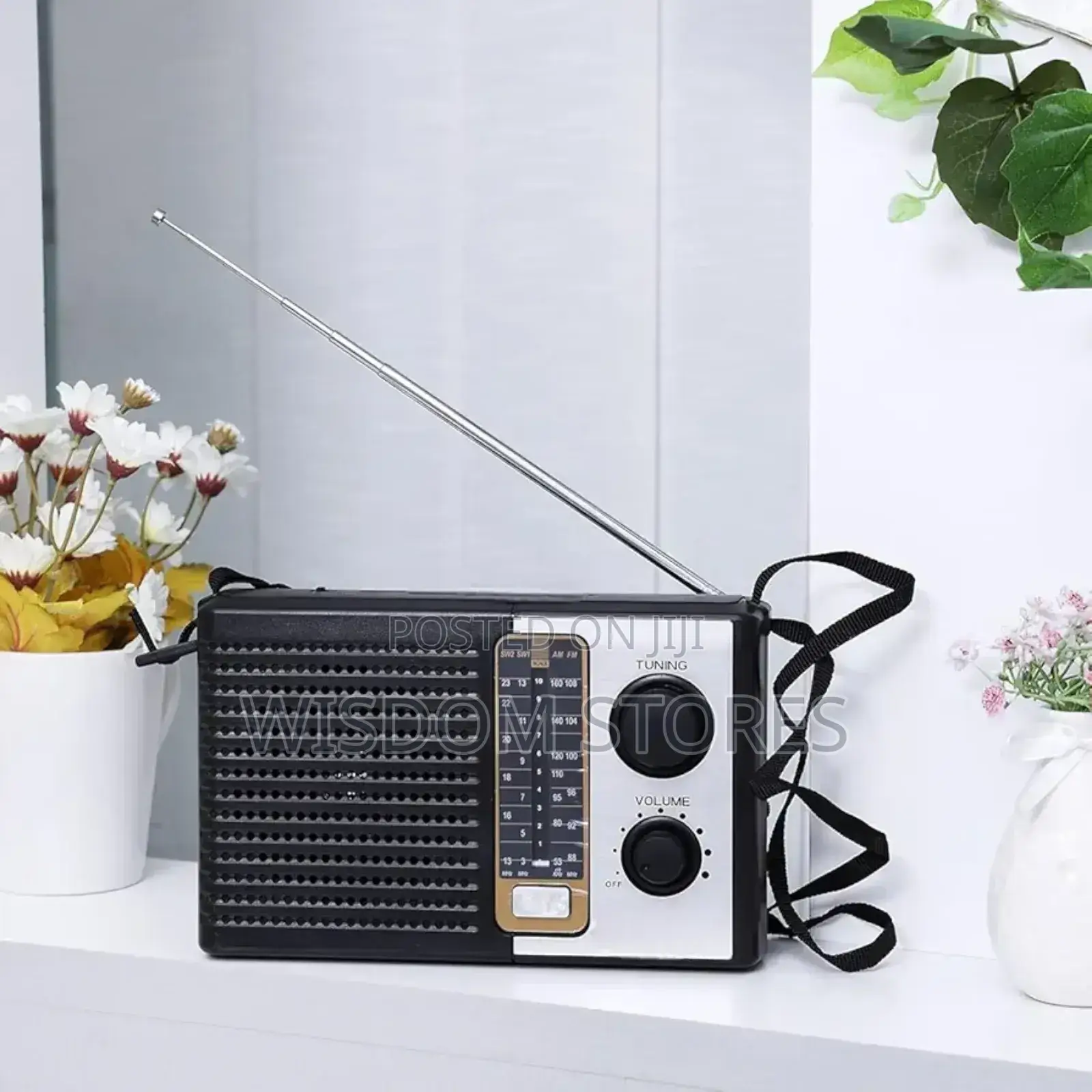 Icf-F10 Radio Multi-Band