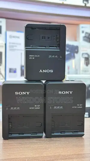 Sony Bc-Qz1 Battery Charger.