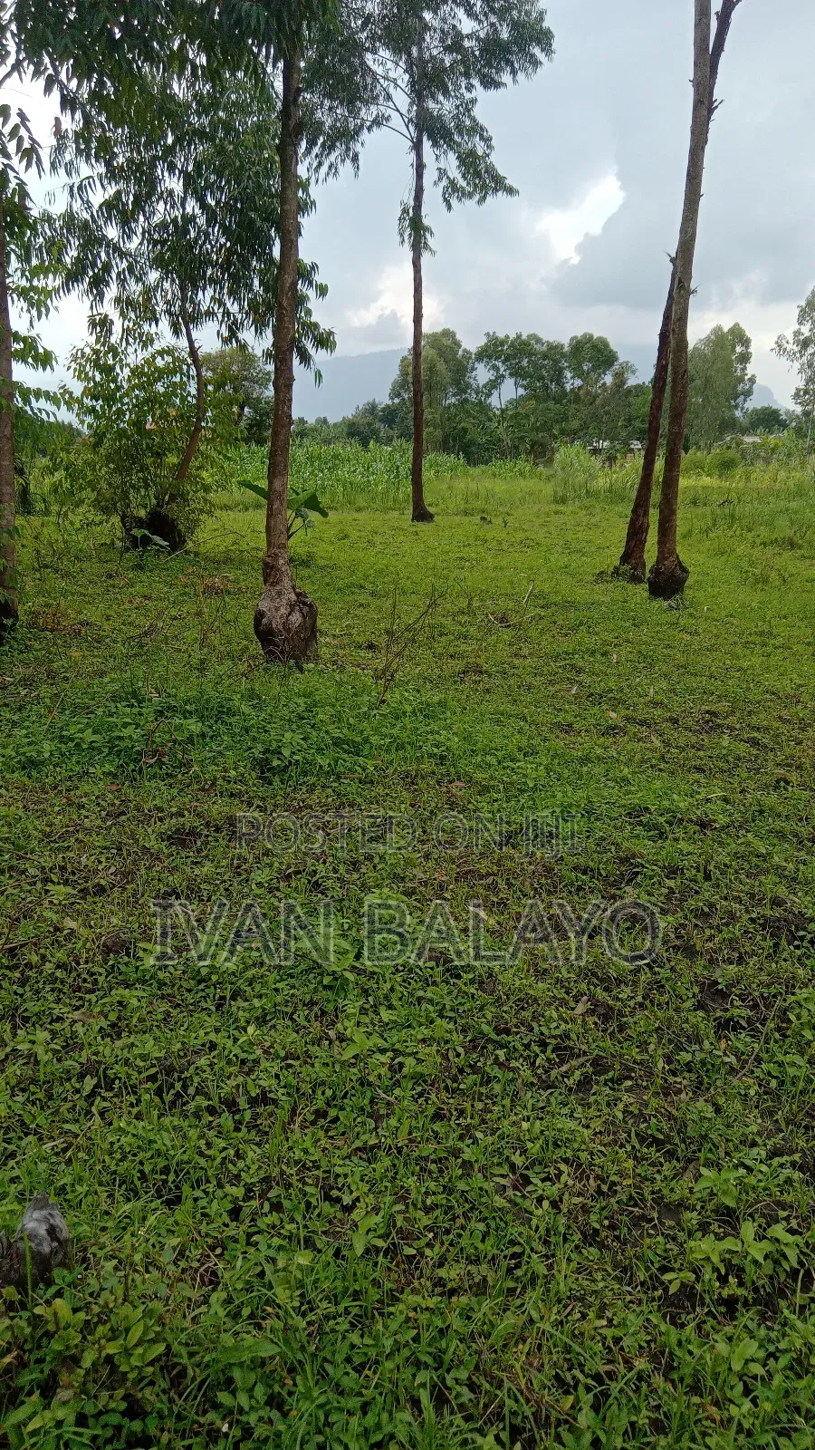 Plot of Land