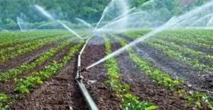 Irrigation Systems Fo Farms