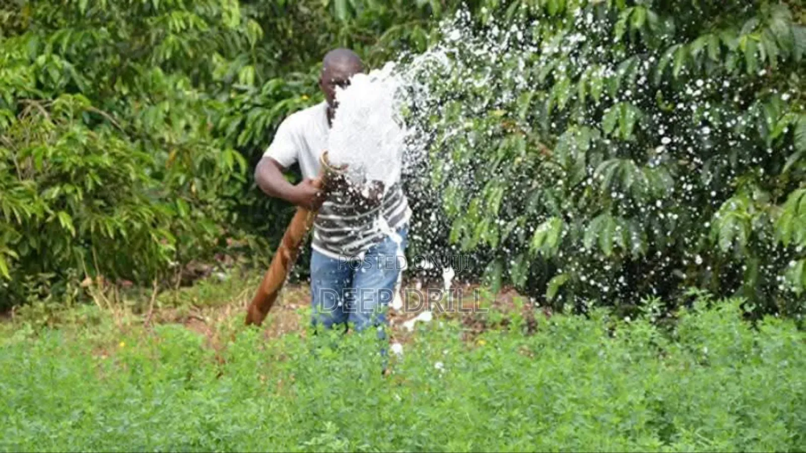 Irrigation Systems Fo Farms