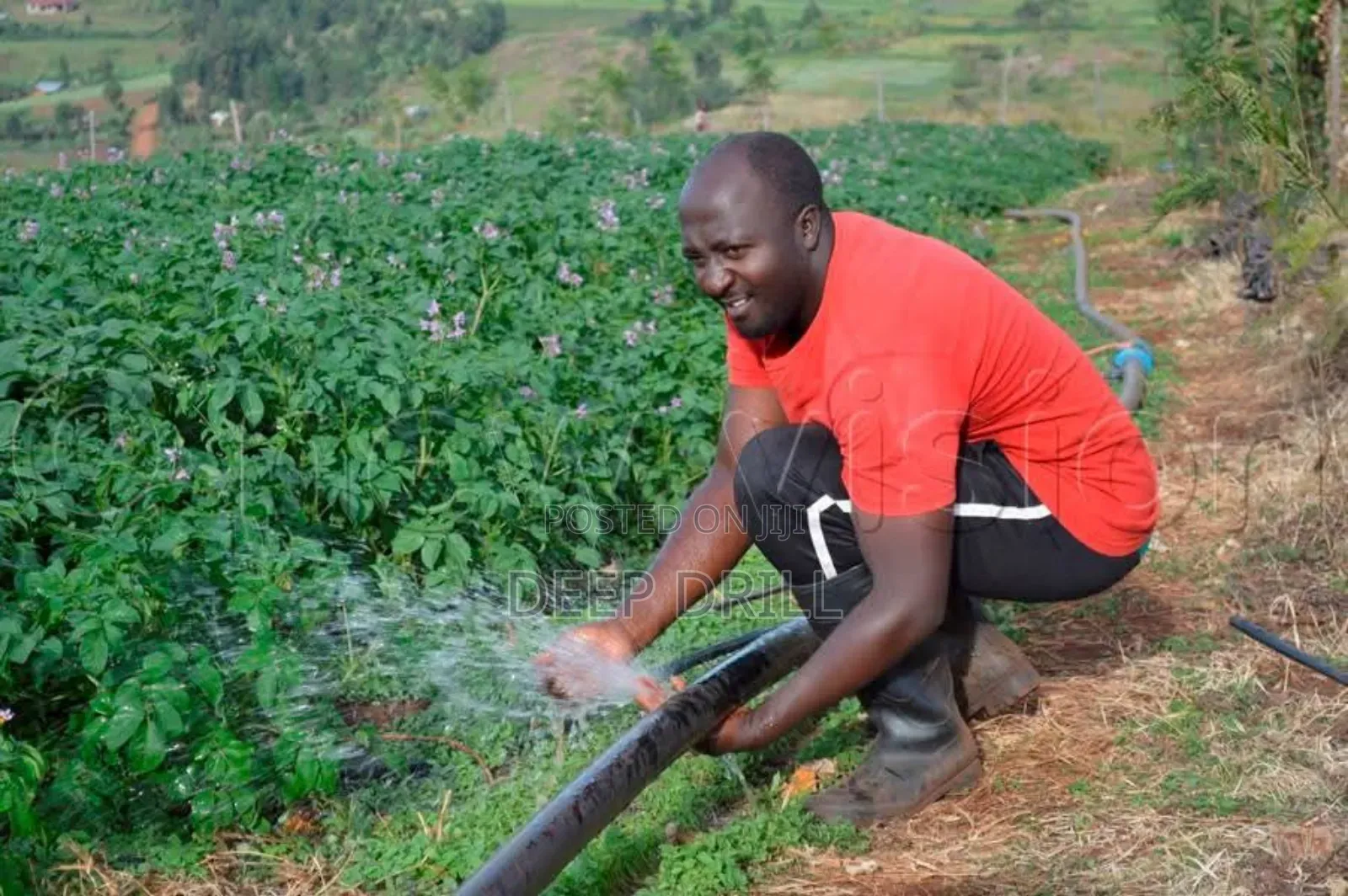 Irrigation Systems Fo Farms