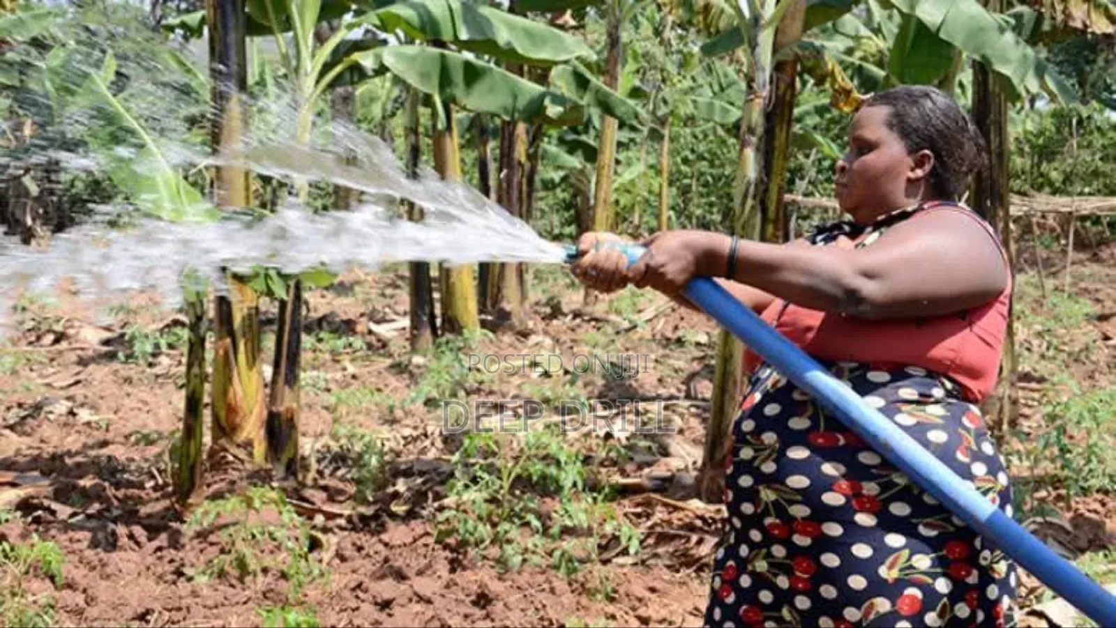 Irrigation Systems Fo Farms
