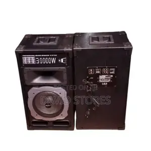 Ailipu 30000w Amplified Speakers Sp-9030 2in 1