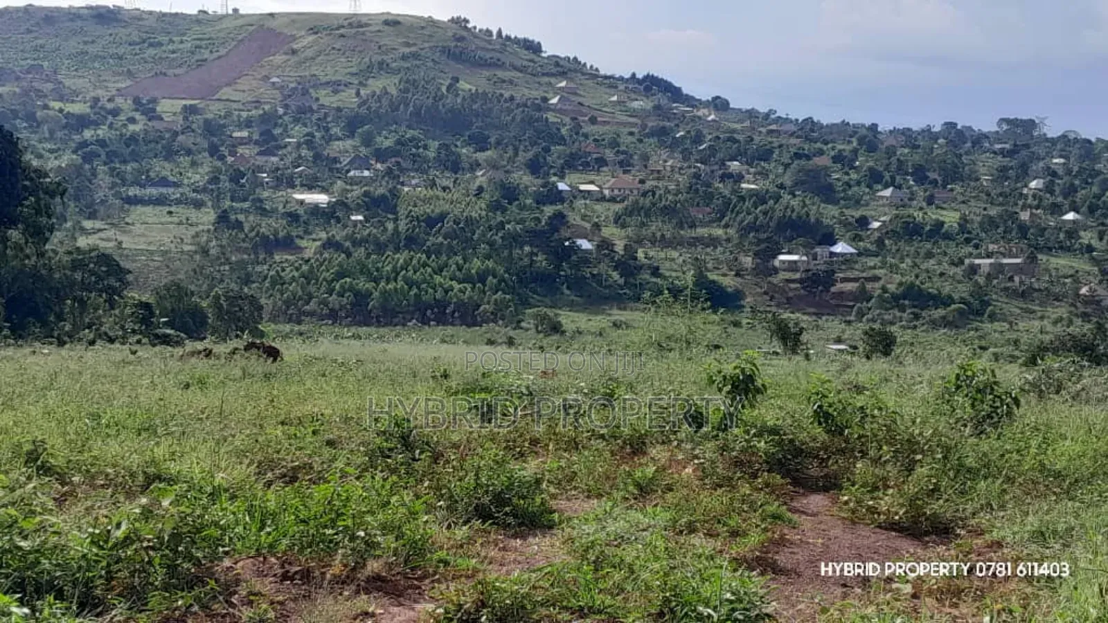 Prime Plots for Sale at Mpigi~Kalagala Hill View Land Estate~Masaka Rd
