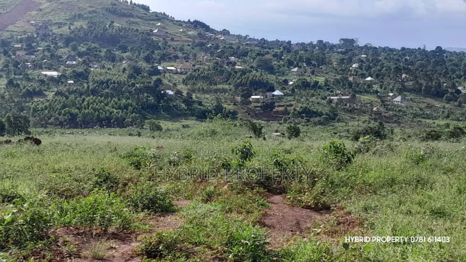 Prime Plots for Sale at Mpigi~Kalagala Hill View Land Estate~Masaka Rd